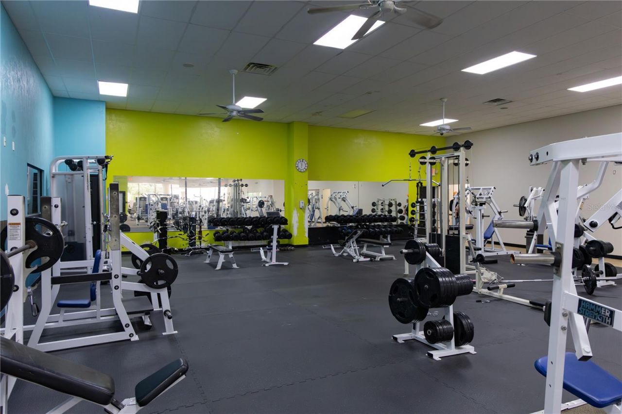 15043 Main Street, Alachua, FL 32615 Photo