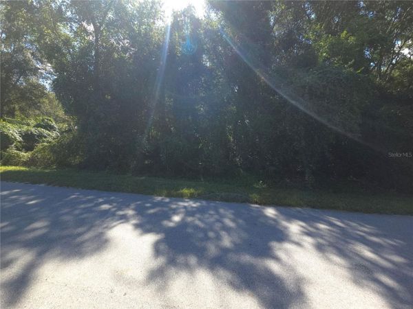 66 JUNIPER PASS, OCALA, FL 34480