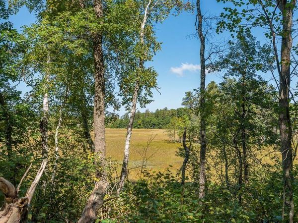 Tract D TBD Little Pine Road, Brainerd, MN 56401