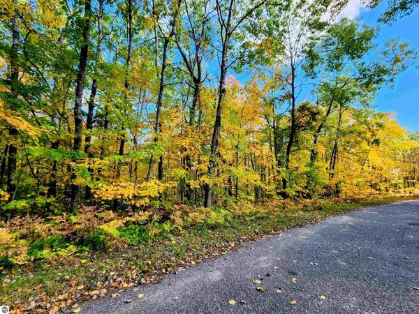 235 Cliffmont Drive, Mancelona, MI 49659