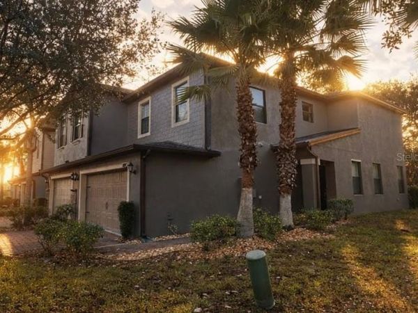 17371 OLD TOBACCO ROAD, LUTZ, FL 33558