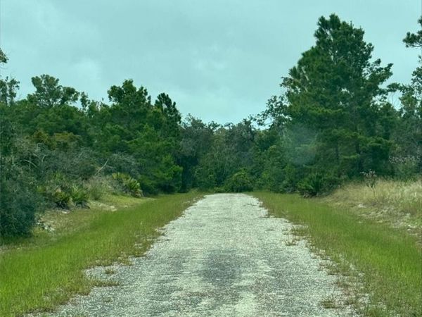 1217 & 1219 CACAO ROAD, LAKE PLACID, FL 33852