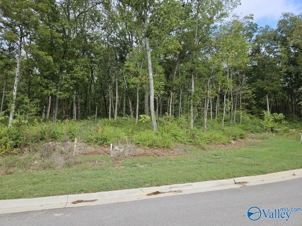 4107 Piedmont Drive, Huntsville, AL 35802