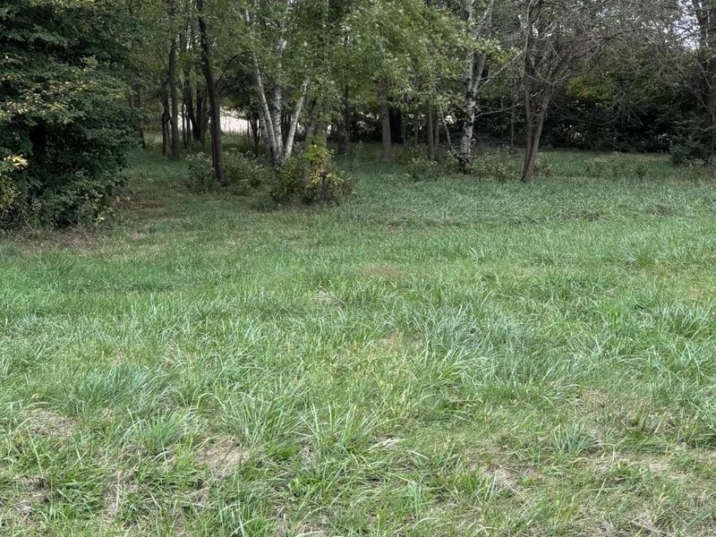 5393 Neer Road, South Vienna, OH 45369 Photo 4