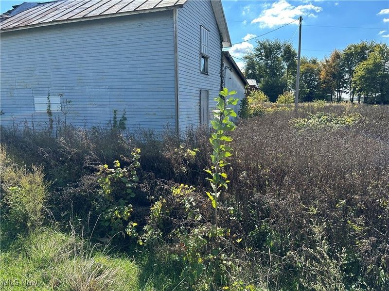 8700 S State Route 4 Highway, OH 44807 Photo 5