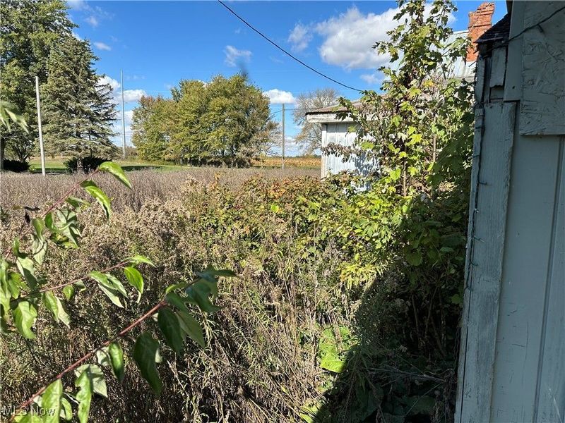 8700 S State Route 4 Highway, OH 44807 Photo 6