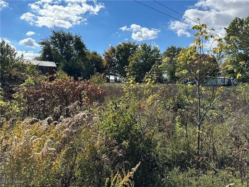 8700 S State Route 4 Highway, OH 44807 Photo 9