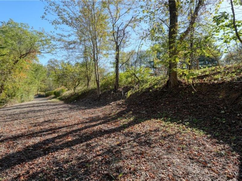 23305 Lashley Road, Senecaville, OH 43780 Photo 2