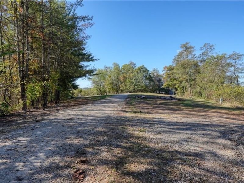 23305 Lashley Road, Senecaville, OH 43780 Photo 3