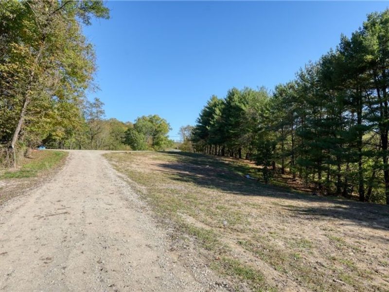 23305 Lashley Road, Senecaville, OH 43780 Photo 4