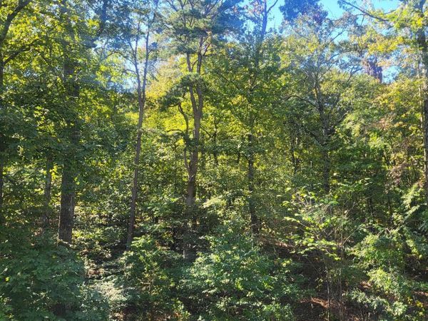 000 Coleman Avenue, Little Rock, AR 72211