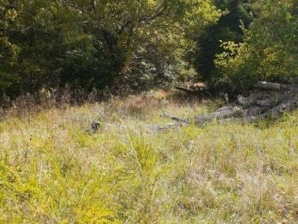 Lot 16 Apple Lane, Cynthiana, KY 41031