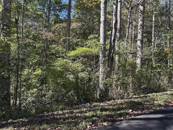 Lot 47A Walleye Way, Scottsville, KY 42164