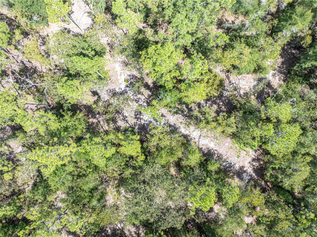 11160 NW 5th Avenue, Branford, FL 32008 Photo