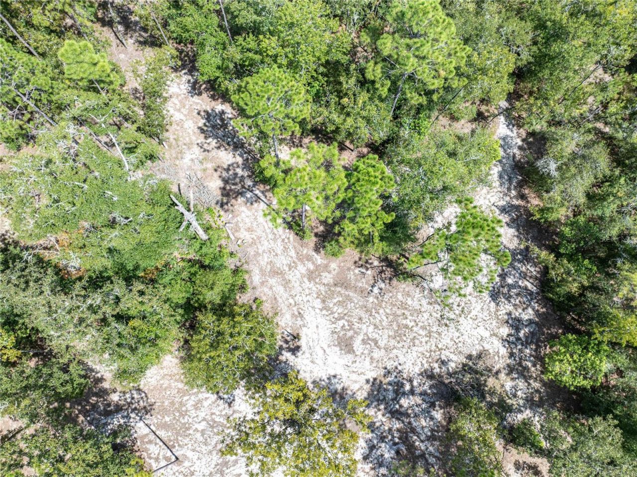 11160 NW 5th Avenue, Branford, FL 32008 Photo