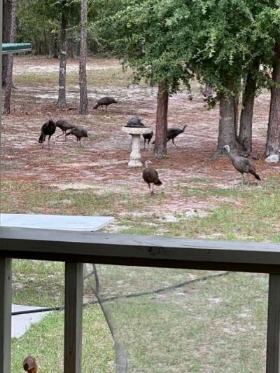 11160 NW 5th Avenue, Branford, FL 32008 Photo