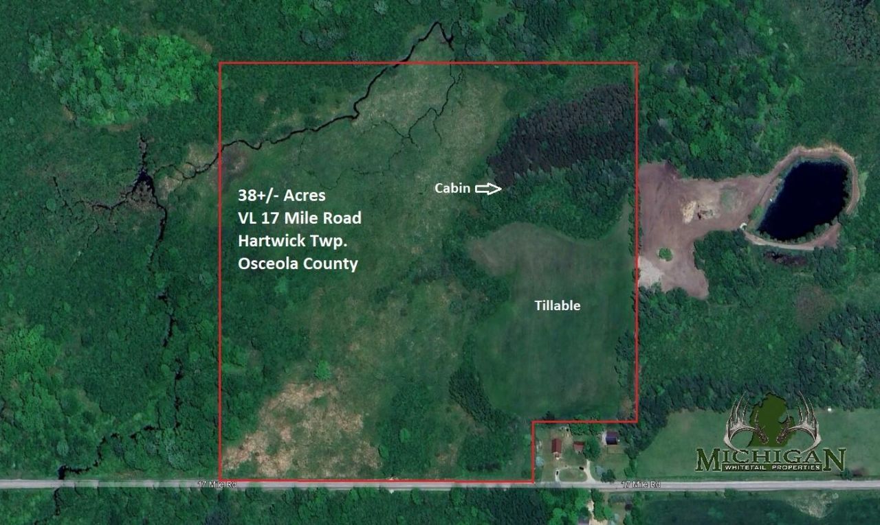 Vl 17 Mile Road, Marion, MI 49665 Main Photo