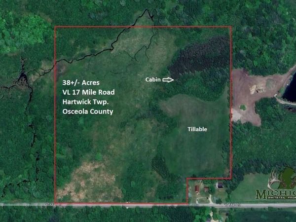 VL 17 Mile Road, Marion, MI 49665