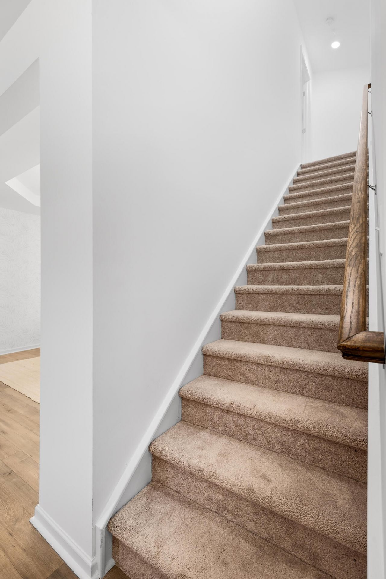 1020 Red Turnstone Run Photo 15