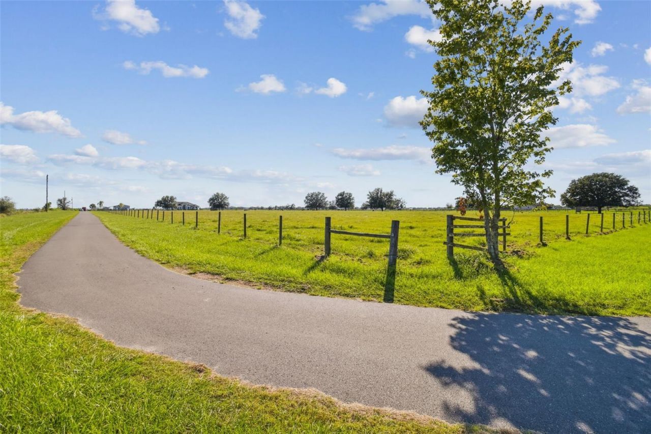 15639 Seth Country Lane, Wimauma, FL 33598 Photo