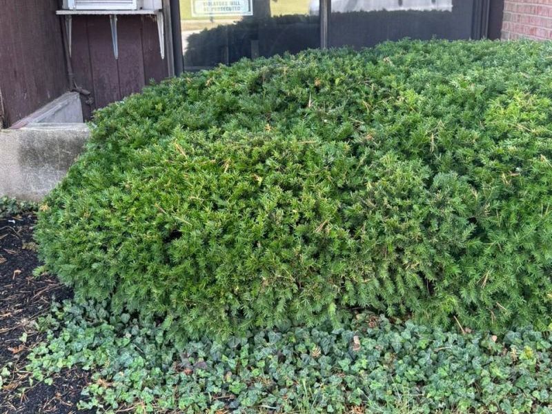 4901 Chalet Drive, Unit 303, Saint Bernard, OH 45217 Photo 23