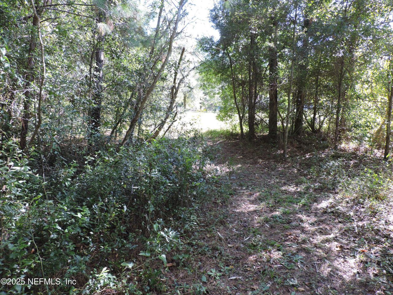 0 New Berlin Road, Jacksonville, FL 32226 Photo