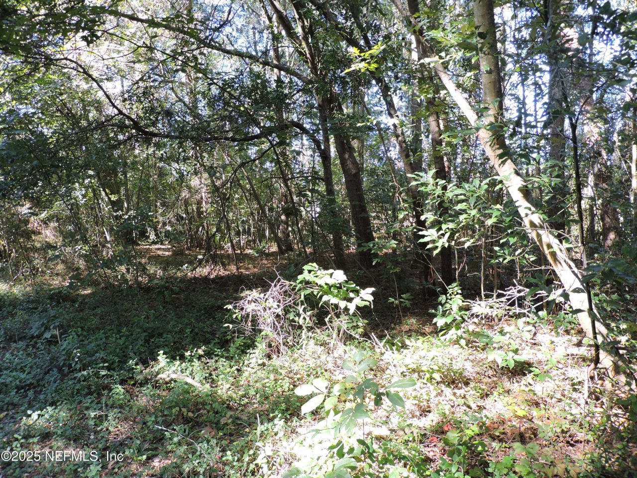 0 New Berlin Road, Jacksonville, FL 32226 Photo