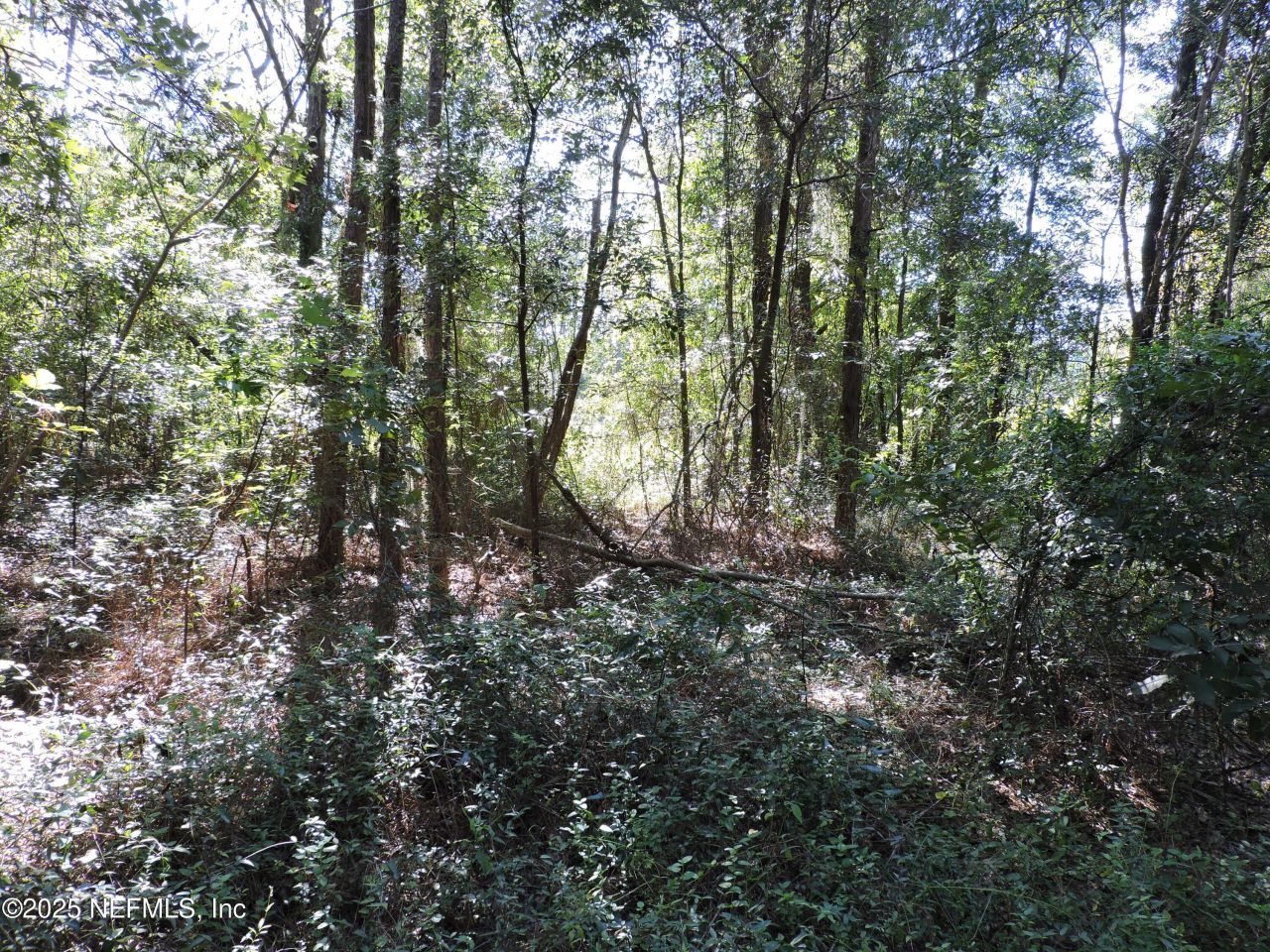 0 New Berlin Road, Jacksonville, FL 32226 Photo