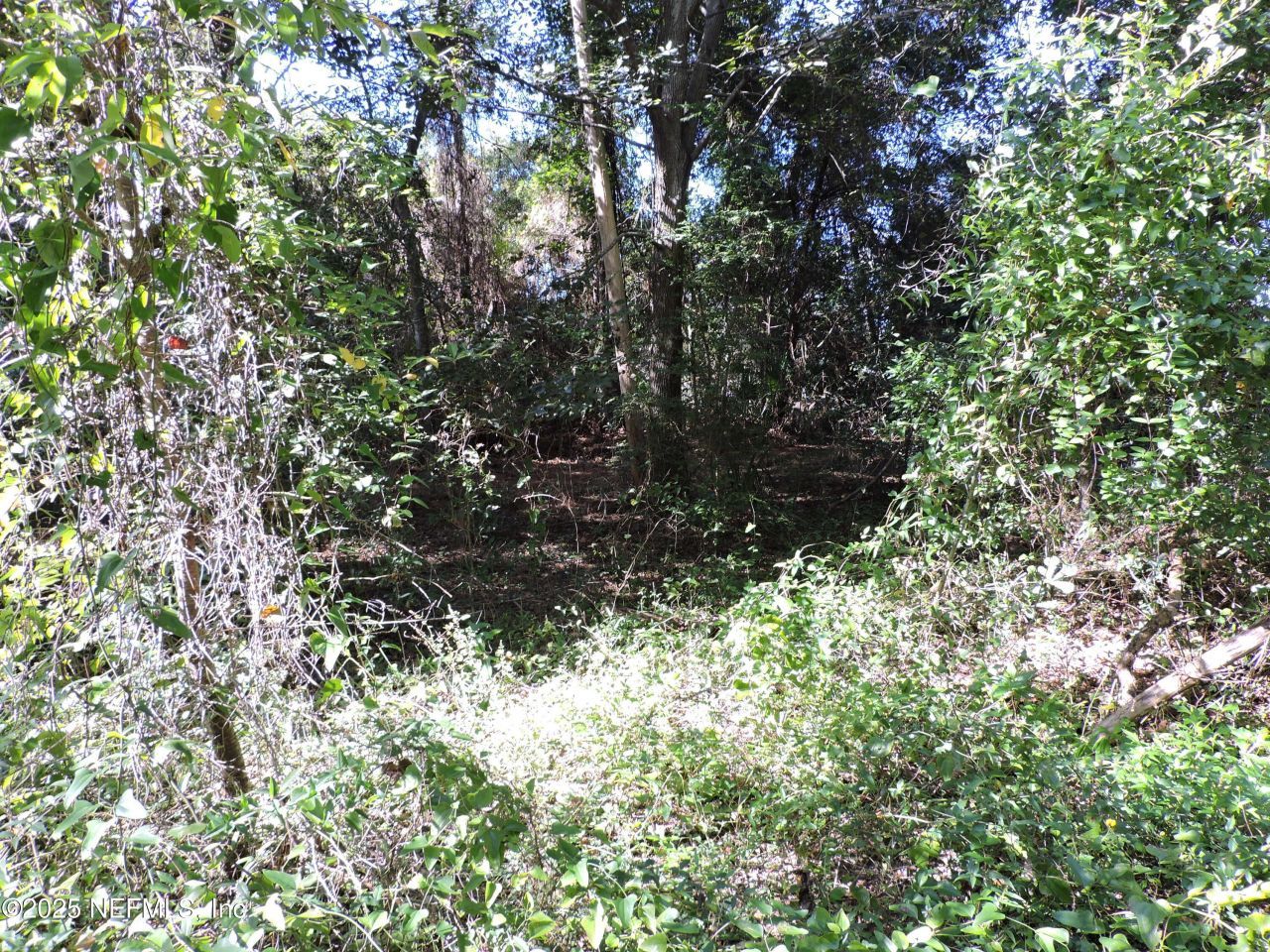 0 New Berlin Road, Jacksonville, FL 32226 Photo