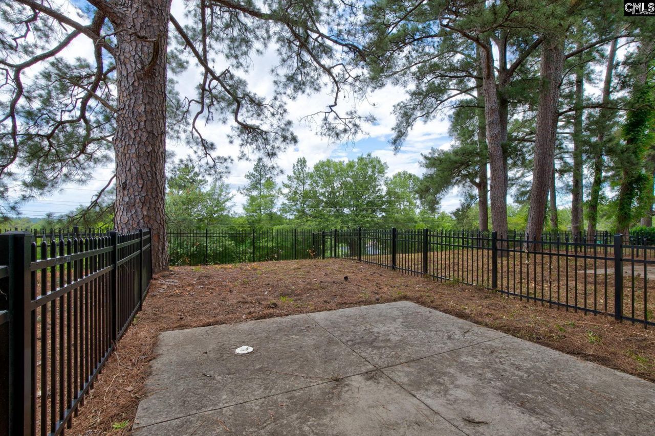 3501 Lyles Street  Photo 26