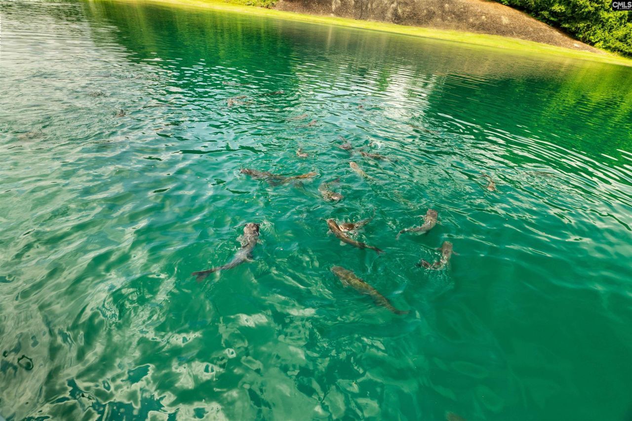 1608 Ridgeway Road Photo 53