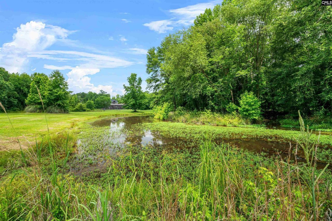 1608 Ridgeway Road Photo 82