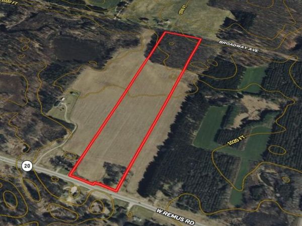 10282 W Remus Road, Remus, MI 49340