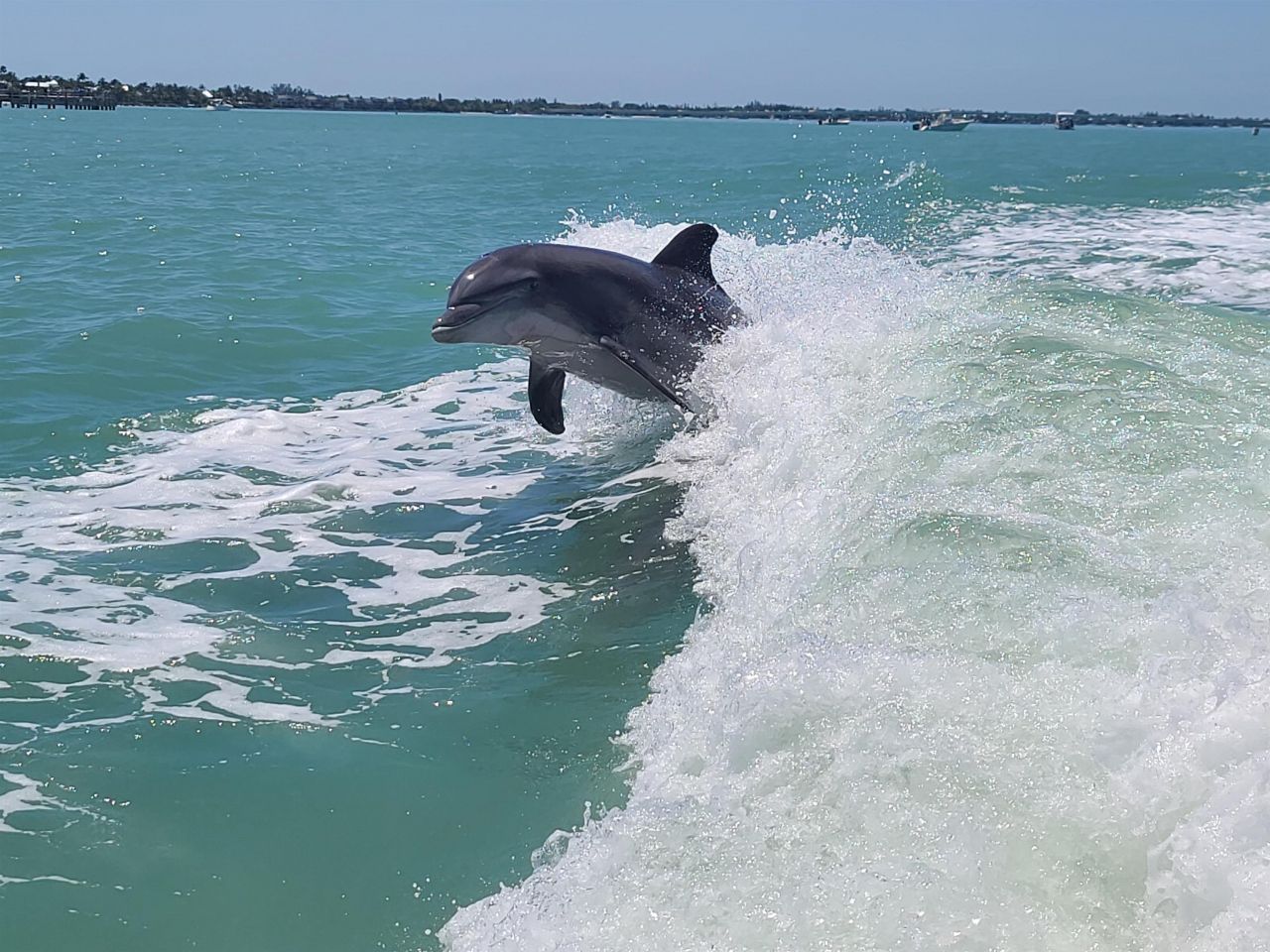 737 Vinca Way, Sanibel, FL 33957 Photo