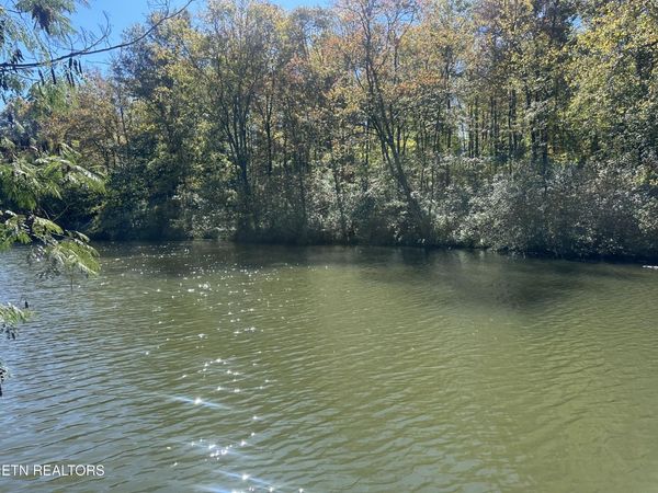 203 Blue Heron Dr. Drive, Harriman, TN 37748