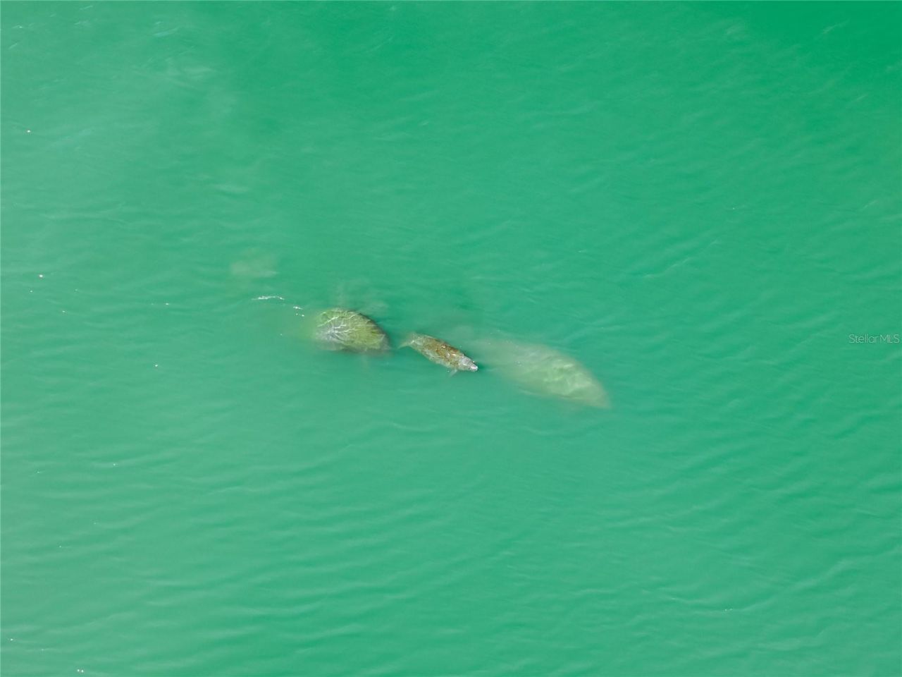 551 S Washington Drive, Sarasota, FL 34236 Photo