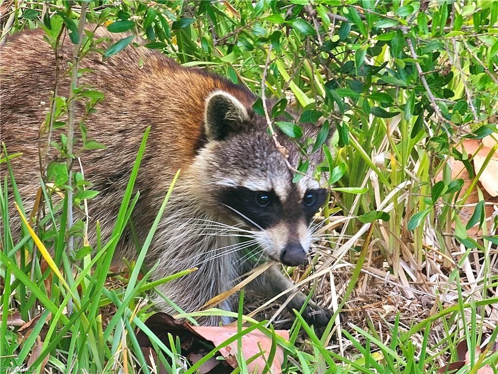 737 Vinca Way, Sanibel, FL 33957 Photo