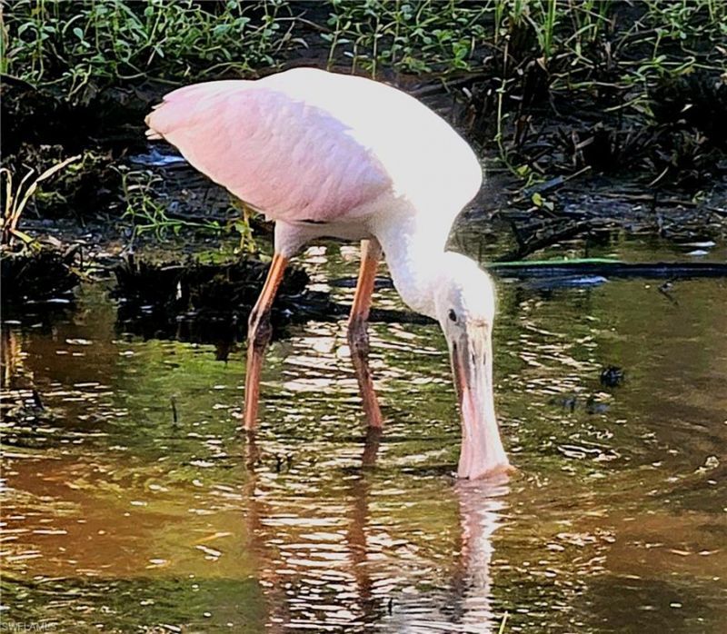 737 Vinca Way, Sanibel, FL 33957 Photo