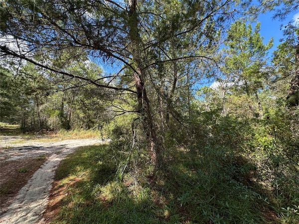 TBD NE 138TH AVENUE, WILLISTON, FL 32696