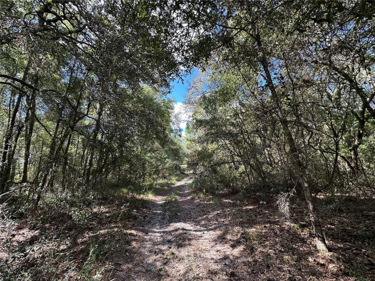 Tbd NE 138th Avenue, Williston, FL 32696 Photo