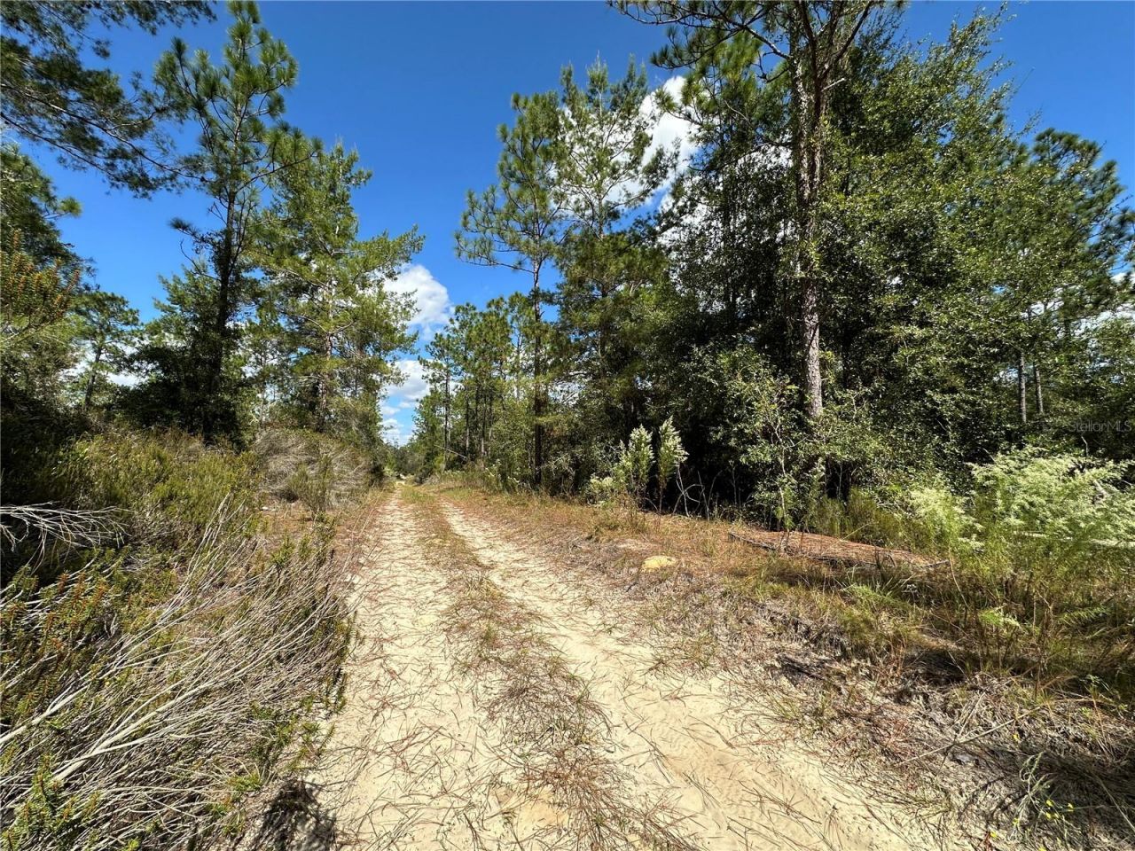 Tbd NE 138th Avenue, Williston, FL 32696 Photo