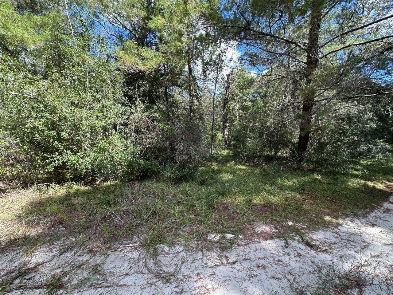 Tbd NE 138th Avenue, Williston, FL 32696 Photo