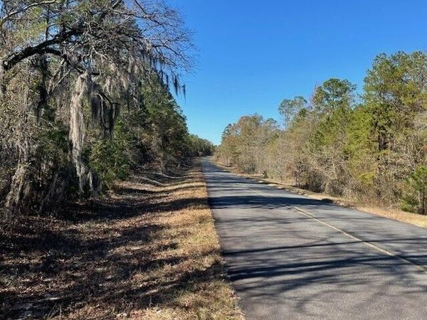 LOT A Pineville Road, Unit 100+/- ACR, Buena Vista, GA 31803