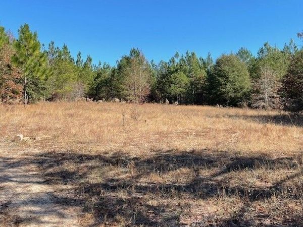 0 Pineville Road, Unit 121+/- ACR, Buena Vista, GA 31803