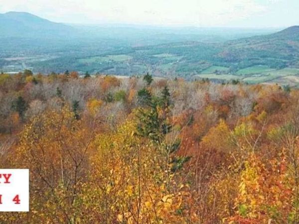 495 Mica Mine Road, Unity, NH 03743