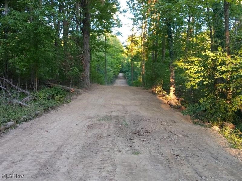 8123 Vandemark Road, Lodi, OH 44254 Photo 1