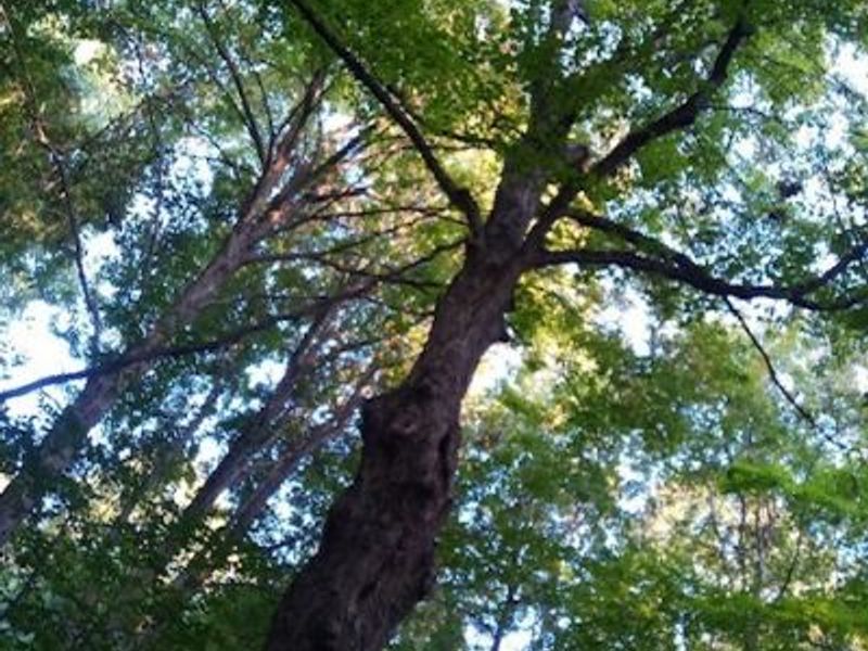 8123 Vandemark Road, Lodi, OH 44254 Photo 10