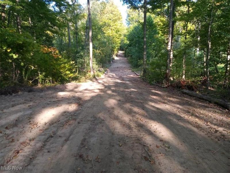 8123 Vandemark Road, Lodi, OH 44254 Photo 2