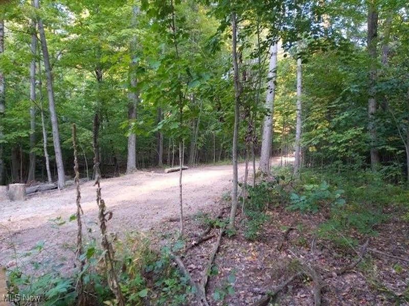 8123 Vandemark Road, Lodi, OH 44254 Photo 4