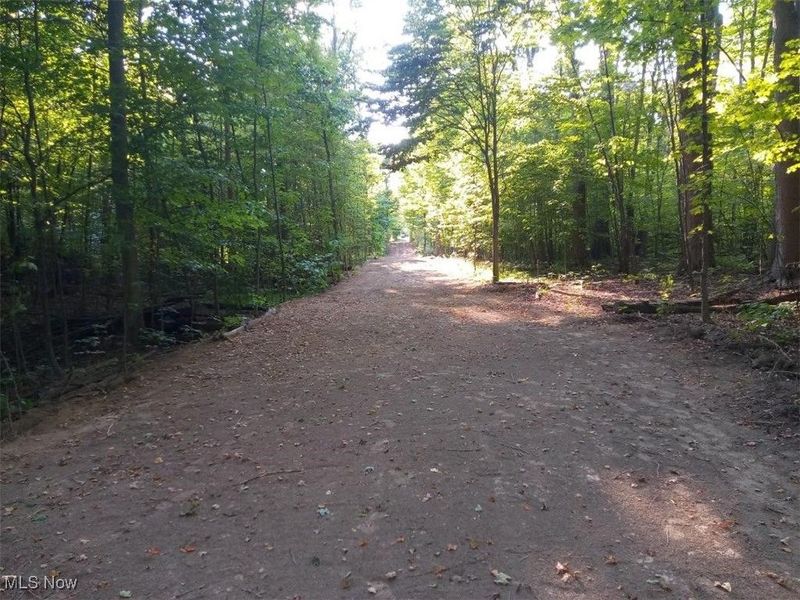 8123 Vandemark Road, Lodi, OH 44254 Photo 5